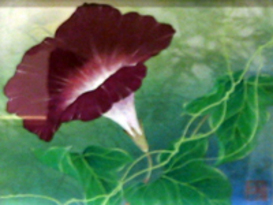 sasaki_006.jpg sasaki_006.jpg