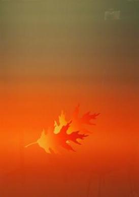 紅葉.jpg 紅葉.jpg