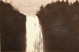 滝・崖の木.jpg 滝・崖の木.jpg