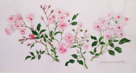 TINY ROSES.jpg TINY ROSES.jpg