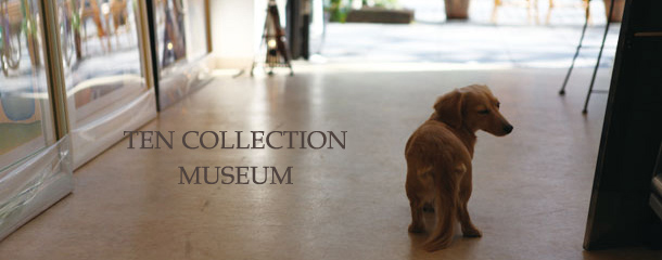 TEN COLLECTION MUSEUM